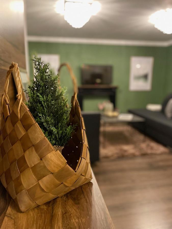 Blackforest Apartment フロイデンシュタット エクステリア 写真