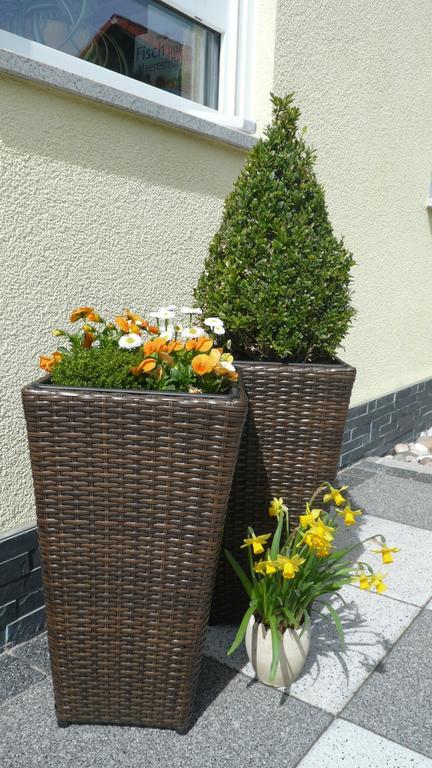 Blackforest Apartment フロイデンシュタット エクステリア 写真