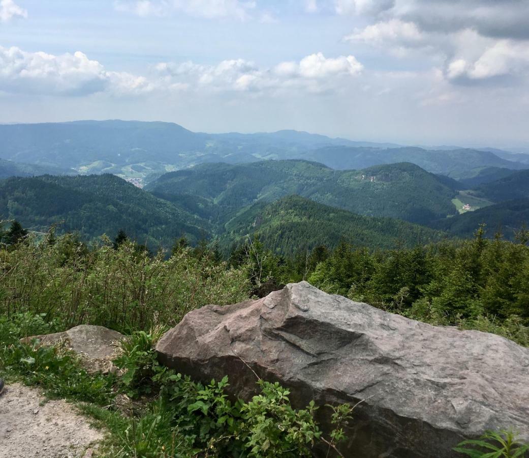 Blackforest Apartment フロイデンシュタット エクステリア 写真